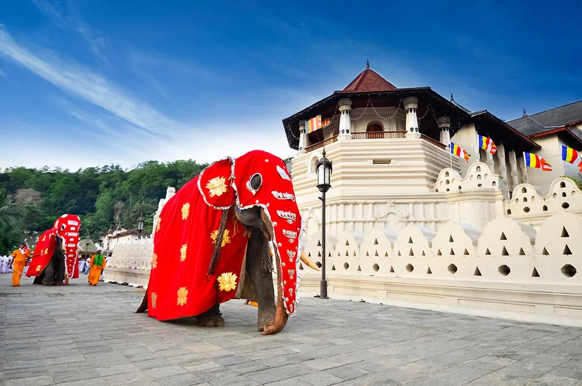 Kandy