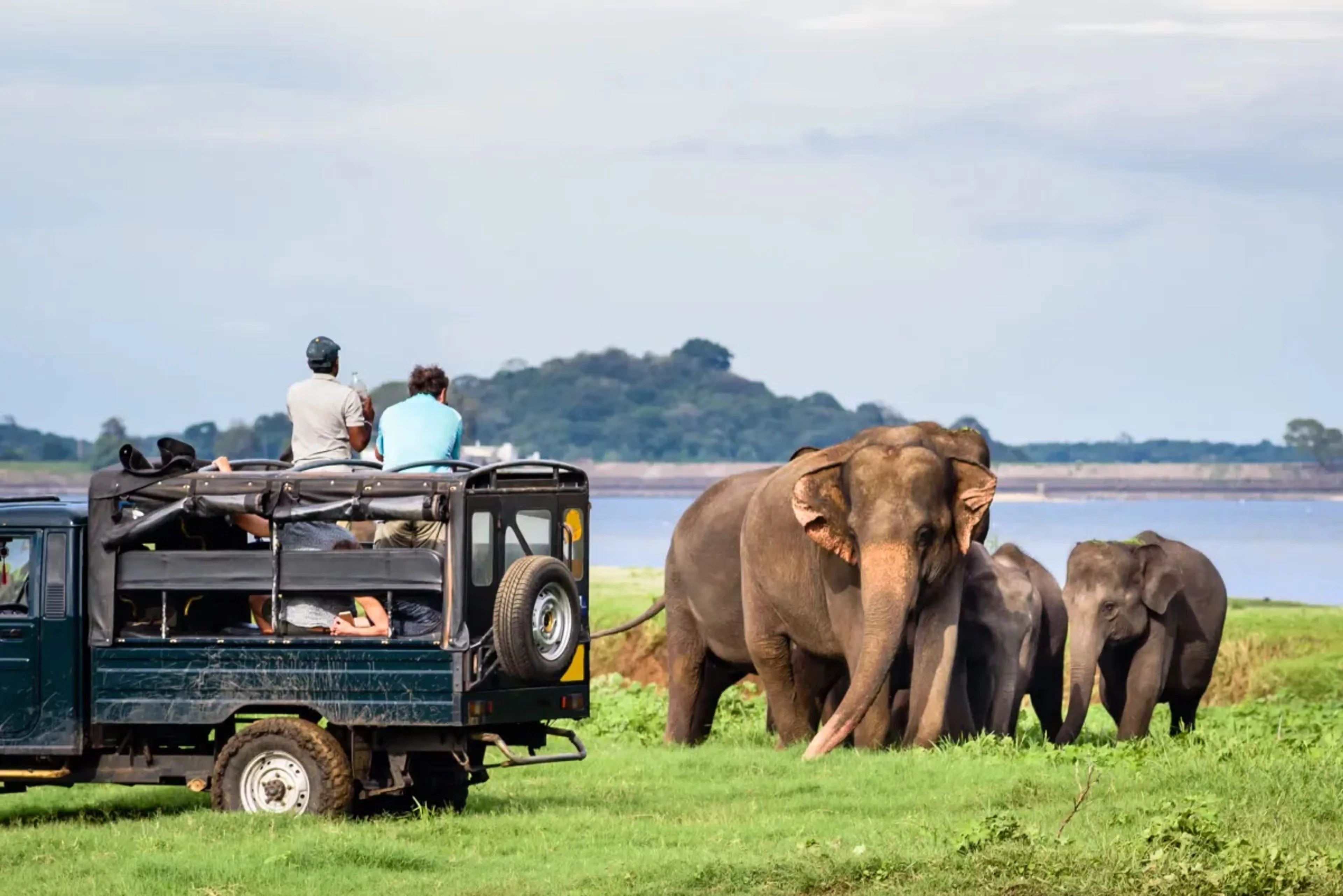 Udawalawe